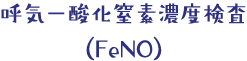 呼気一酸化窒素濃度検査（FeNO）